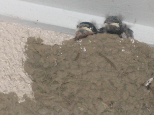 b0088037_71227.jpg