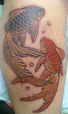 本日の刺青画像 鳳凰 と 金魚 です 刺青 初代 彫あい 和彫り タトゥー 日本伝統刺青 新宿スタジオブログ 本日の刺青画像 鳳凰 と 金魚 です 刺青 初代 彫あい 和彫り タトゥー 日本伝統刺青 新宿スタジオブログ