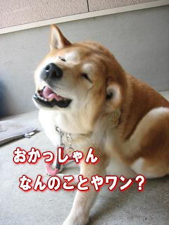 コレクター?_c0049950_1545817.jpg