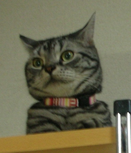 c0045655_03207.jpg