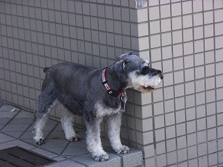 d0092969_845054.jpg