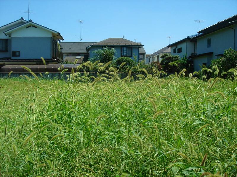 f0059673_853467.jpg