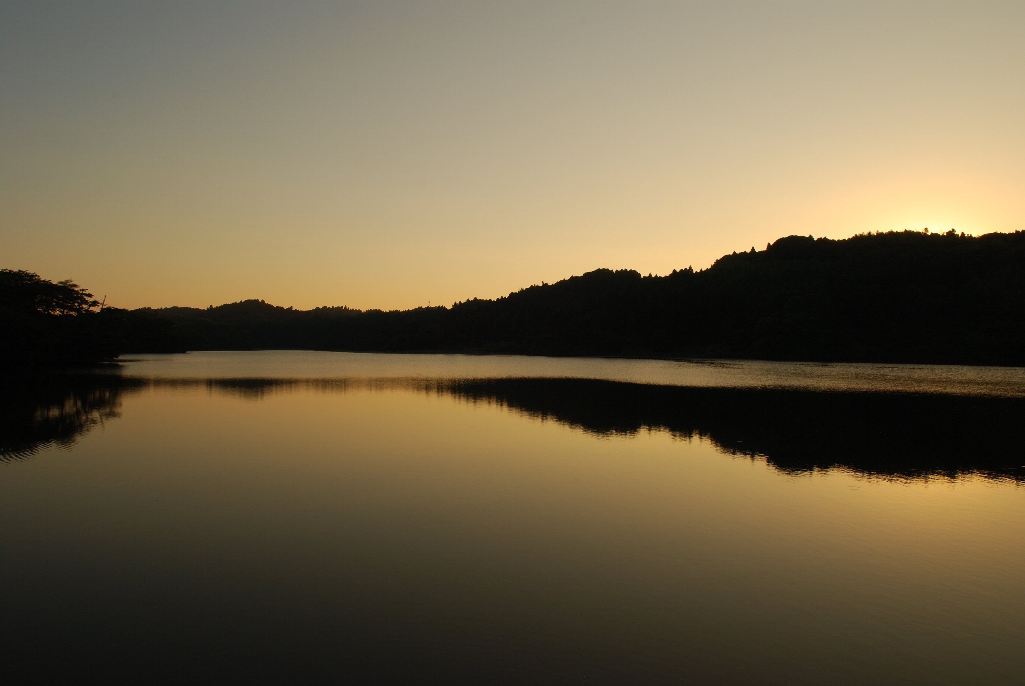 e0071178_63315.jpg