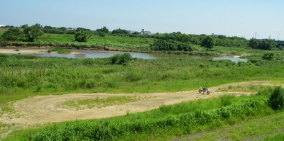 c0035980_12380.jpg