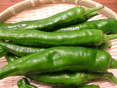 f0130693_9333886.jpg