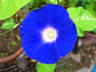 d0072395_8143855.jpg