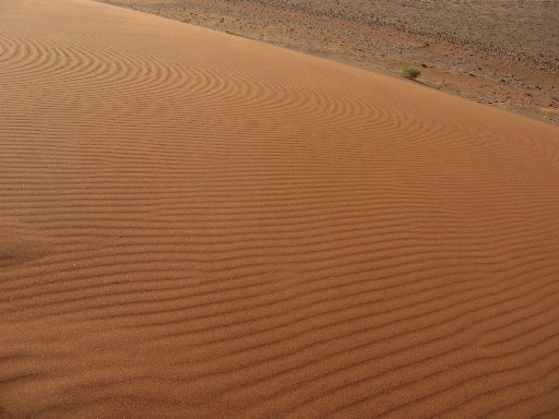 c0051938_9261064.jpg