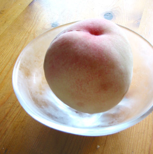 はつもの_a0017350_0282777.jpg