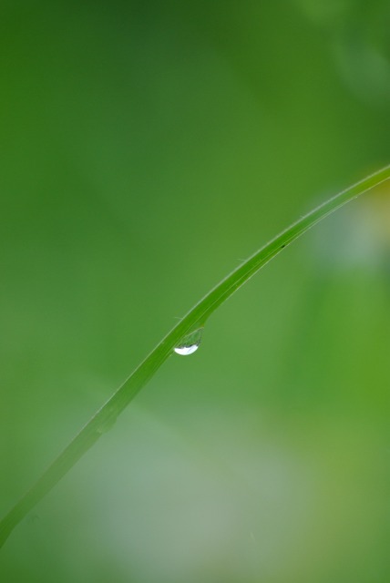 梅雨のある日_e0063851_2353435.jpg