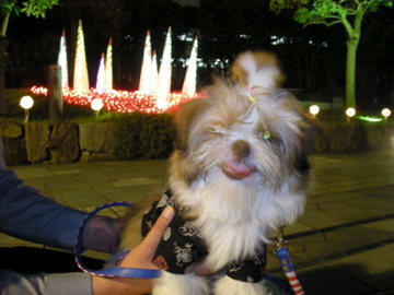 f0142953_0462026.jpg