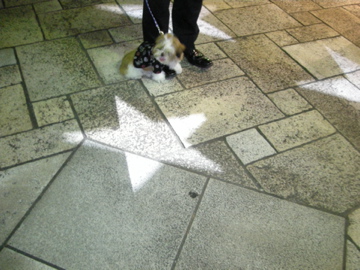 f0142953_0464814.jpg