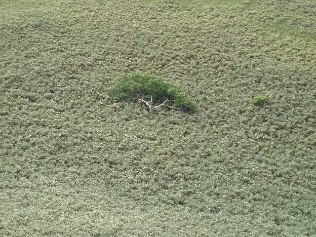 e0004756_208818.jpg