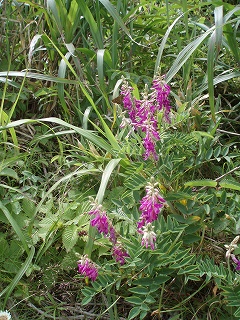 e0004756_21204189.jpg