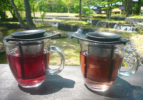 人生にかかせないもの お茶の時間と紅茶倶楽部&500記事。。。 *。:☆.。†_a0053662_1305221.jpg