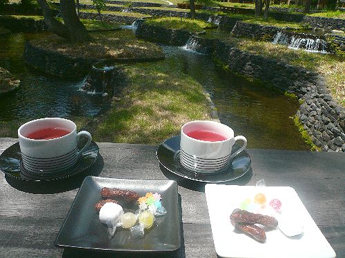 人生にかかせないもの お茶の時間と紅茶倶楽部&500記事。。。 *。:☆.。†_a0053662_131184.jpg
