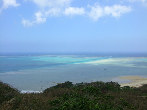 f0110663_10361650.jpg