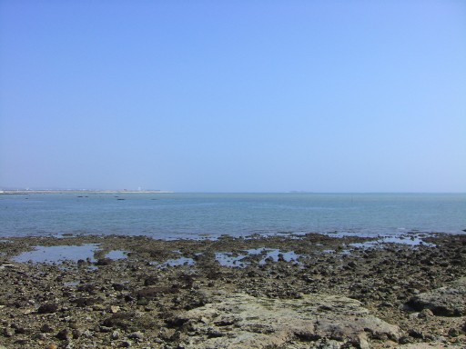 f0110663_1113935.jpg
