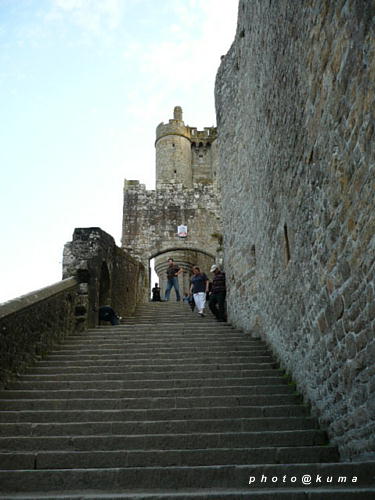 f0050468_0585248.jpg