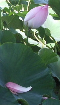 b0067569_985456.jpg