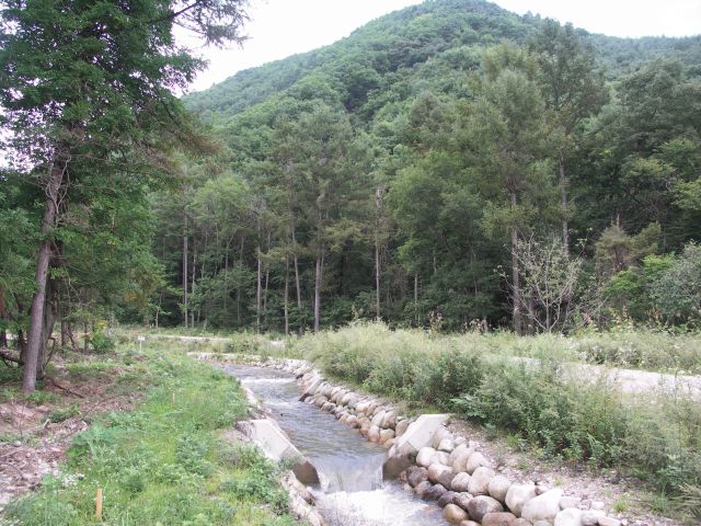 c0126573_15222832.jpg