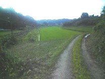 a0087378_47070.jpg