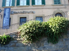 f0051186_45083.jpg