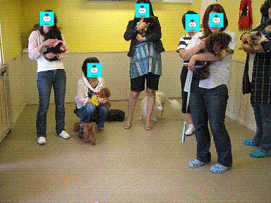 e0117589_23295763.gif