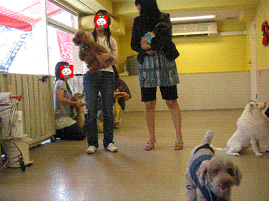 e0117589_23303953.gif