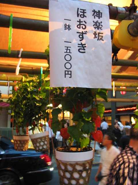 ほおずき市_a0091095_20574094.jpg