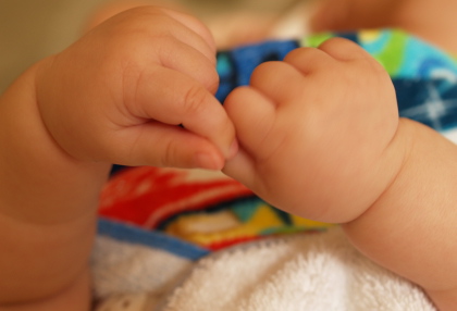 赤ちゃん ぷくぷく 緑色の島