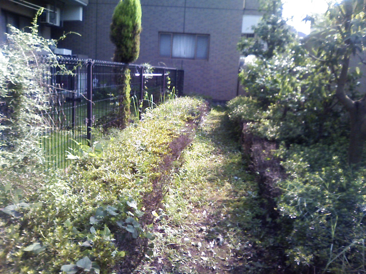 助かりました~_f0108604_18131880.jpg