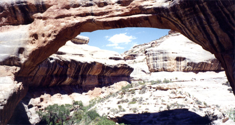 Natural Bridges National Monument_a0097322_11502453.jpg