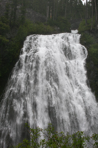 Mount Rainier National Park_a0097322_2229184.jpg