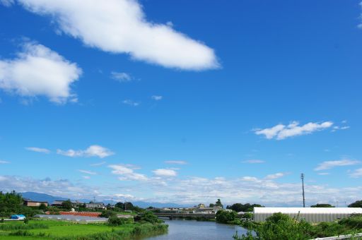 d0104128_11482137.jpg