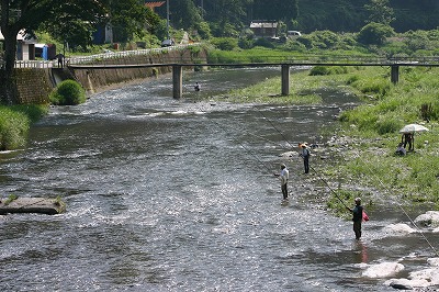 夏鹿。。美味也。。_b0110629_1758719.jpg