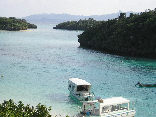 d0082735_0481011.jpg