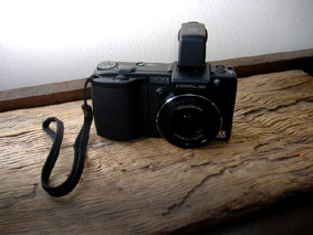 f0145936_346832.jpg