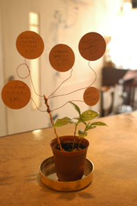 展示カフェ「As you like」のここ五日の様子★bySO_a0083140_234102.jpg