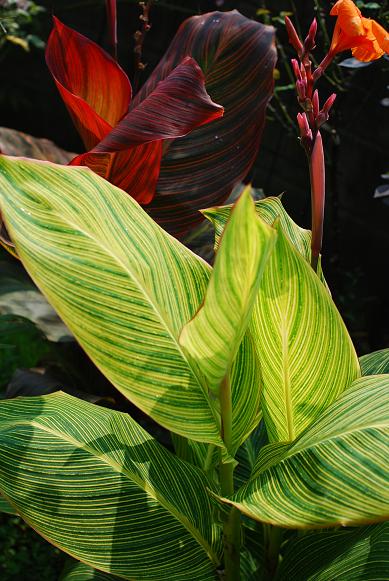 b0075541_00473.jpg