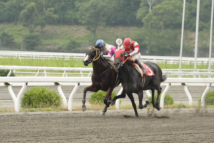 2007年7月22日（日） 高知競馬 1R_a0077663_1910054.jpg