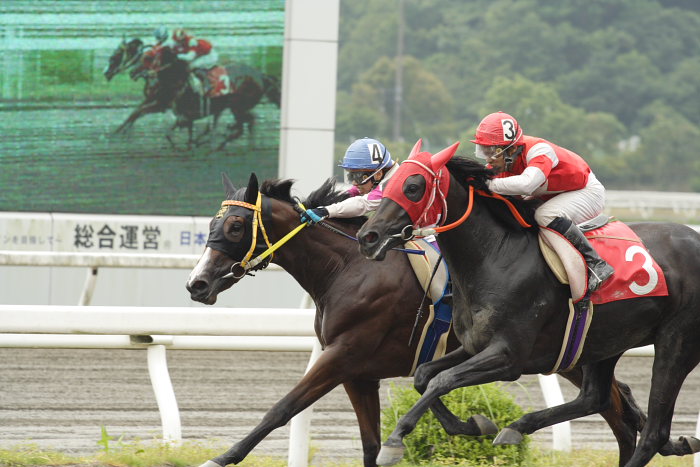2007年7月22日（日） 高知競馬 1R_a0077663_19101918.jpg