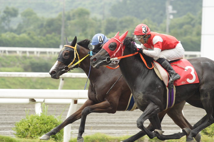 2007年7月22日（日） 高知競馬 1R_a0077663_19102971.jpg