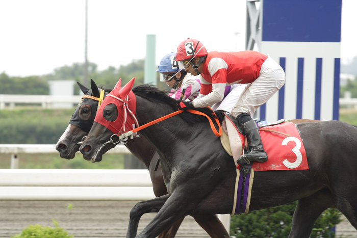 2007年7月22日(日) 高知競馬 1R_a0077663_19103832.jpg