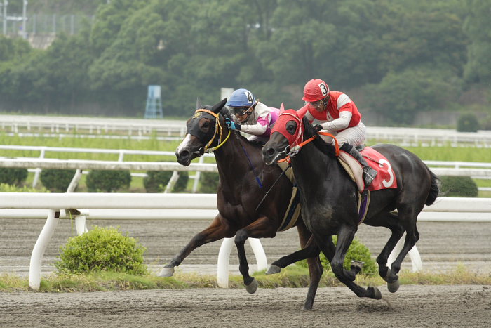 2007年7月22日（日） 高知競馬 1R_a0077663_1910990.jpg