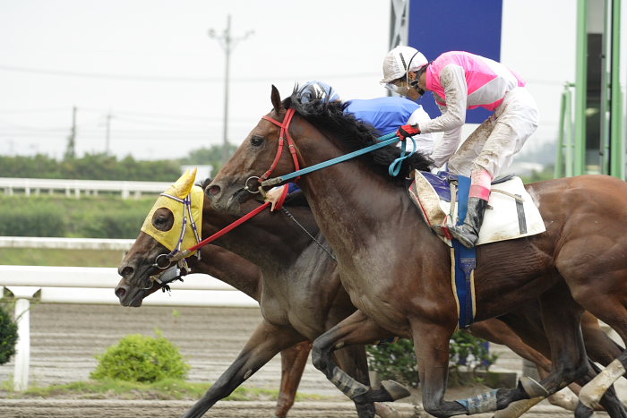 2007年7月22日(日) 高知競馬 2R_a0077663_19522139.jpg