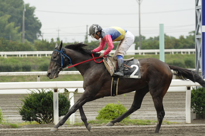 2007年7月22日(日) 高知競馬 2R_a0077663_19523114.jpg