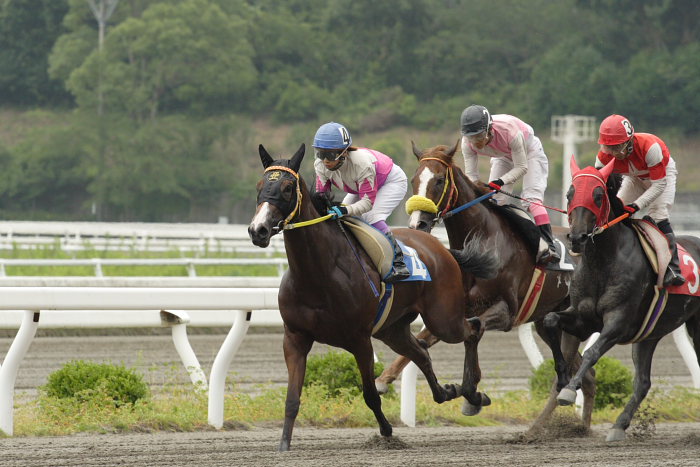 2007年7月22日(日) 高知競馬 1R_a0077663_1993919.jpg