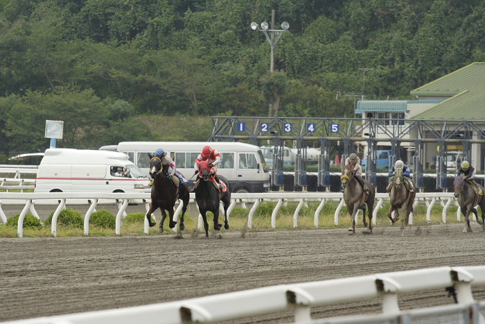 2007年7月22日（日） 高知競馬 1R_a0077663_1995186.jpg