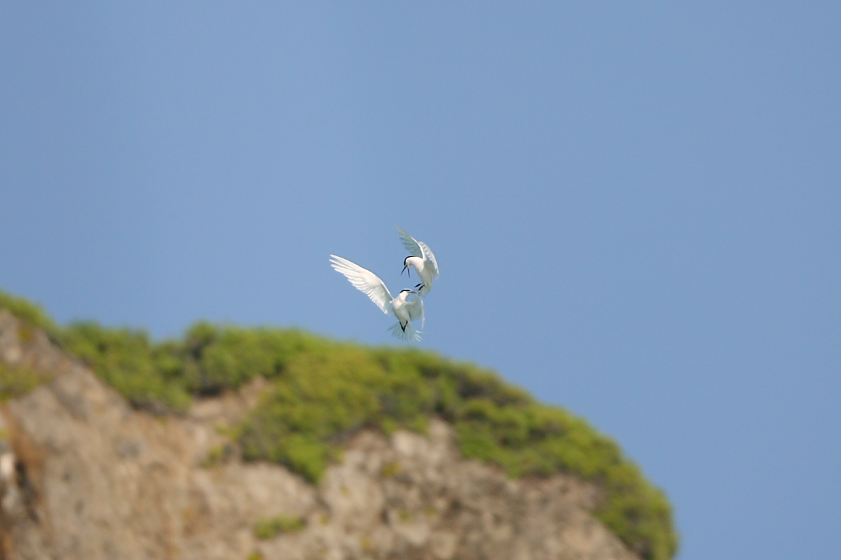 南の島の夏休もあとちょっと_b0092366_0214394.jpg