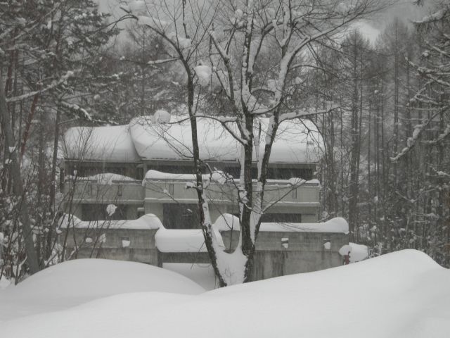 c0126573_14441.jpg